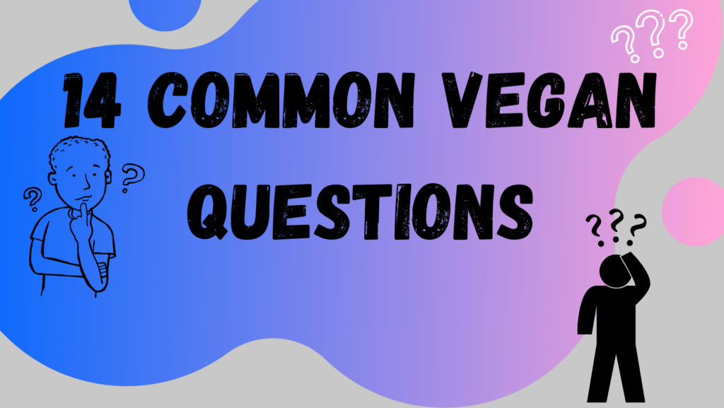 14 Common Vegan Questions